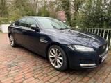 Jaguar XF 3.0 Diesel Portfolio Top gepflegt - gebrauchte Jaguar XF aus dem Jahr 2019