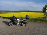 Honda Deauville NT  700 ABS Unfallfrei - HONDA DEAUVILLE