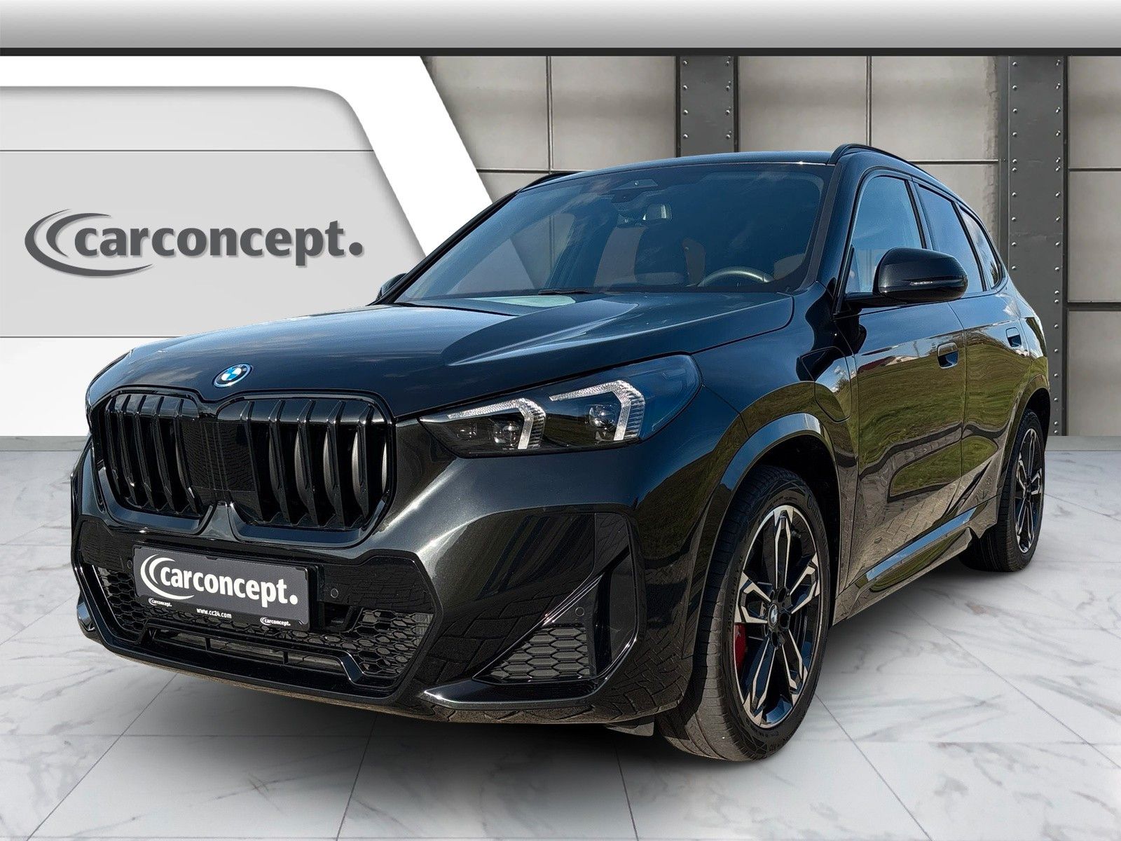 BMW X1 xDrive30e M Sport Pro*19*Pano*AHK*ACC* imagem 2