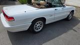 Alfa Romeo Spider - Alfa Romeo aus 1992