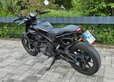Indian FTR1200 mit Black-T Fahrwerk (-30mm) - INDIAN FTR