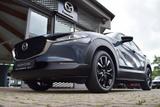 Mazda CX-30 2.5 140PS Homura Voll-LED Navi Kamera elek - Mazda Neuwagen