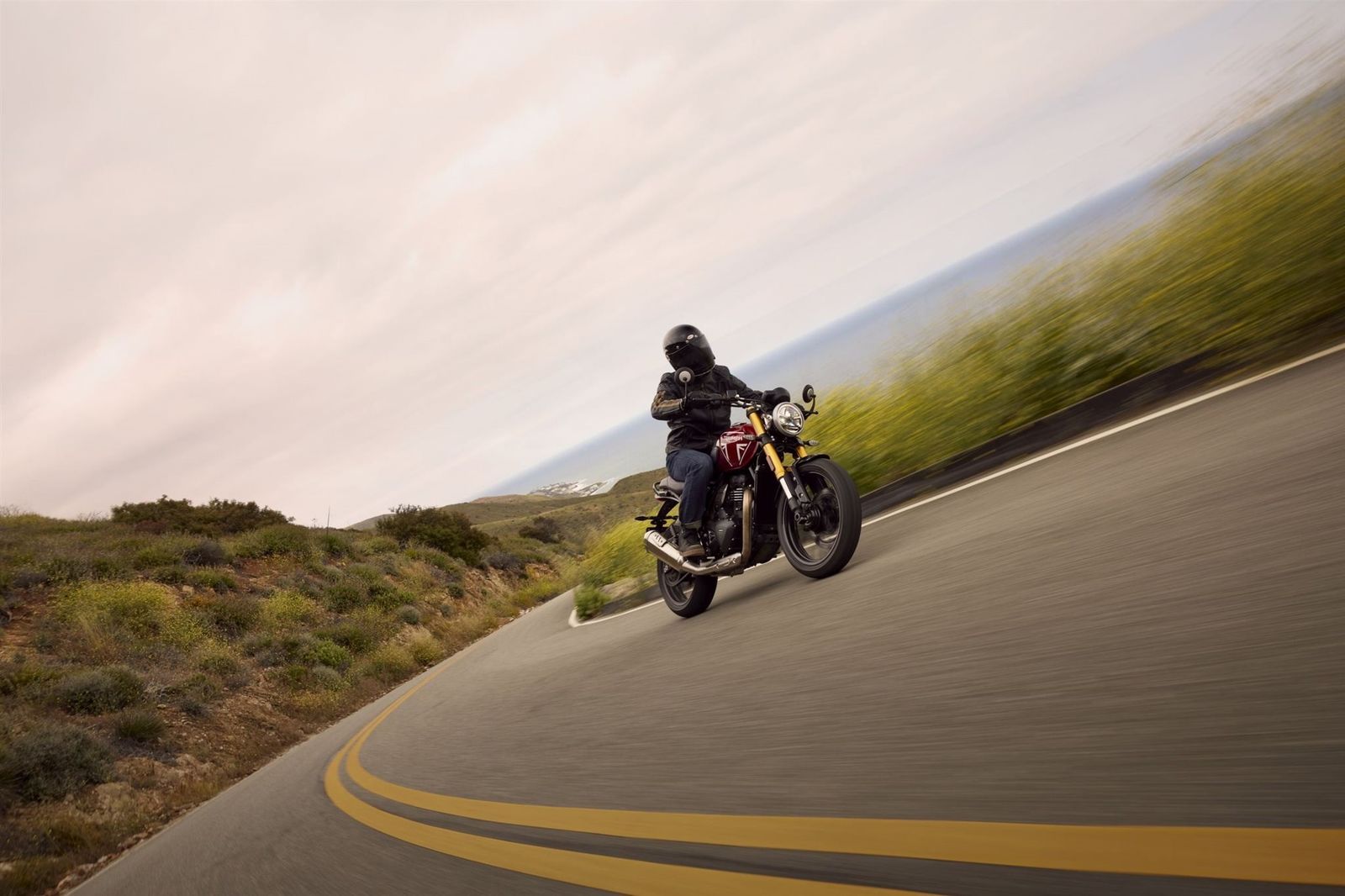 Fahrzeugabbildung Triumph Speed 400