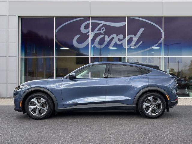 Fahrzeugabbildung Ford Mustang Mach-E Elektro Basis #600km #Fahrassiste