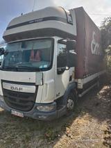 DAF LKW DAF LF 210 Euro 6 213 Ps, GG 7.5t - Bis 7,5t Lkw