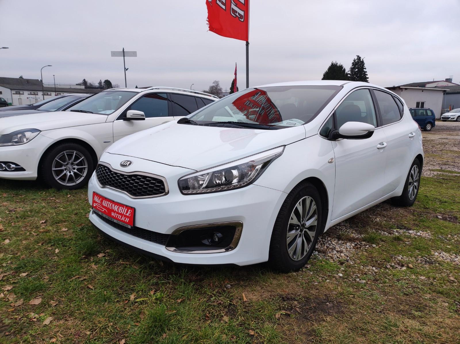 Kia ANDERE Ceed Dream Team