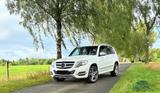 Mercedes-Benz Mercedes Benz GLK 220 CDI 4-Matic - Mercedes-Benz GLK 220 in Mannheim