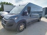 Fiat Ducato Maxi Grossr.-Kasten 35 160 L5H2 RS: 4035 - Fiat Ducato l5h3
