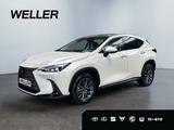 Lexus NX 350h Executive Line *360*HUD*Navi*LED*el Heck - Lexus NX 350h Tageszulassungen