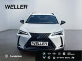 Lexus UX 250h Style+ Edition *LED*ACC*CAM*SHZ*CarPlay* - Lexus aus 2021