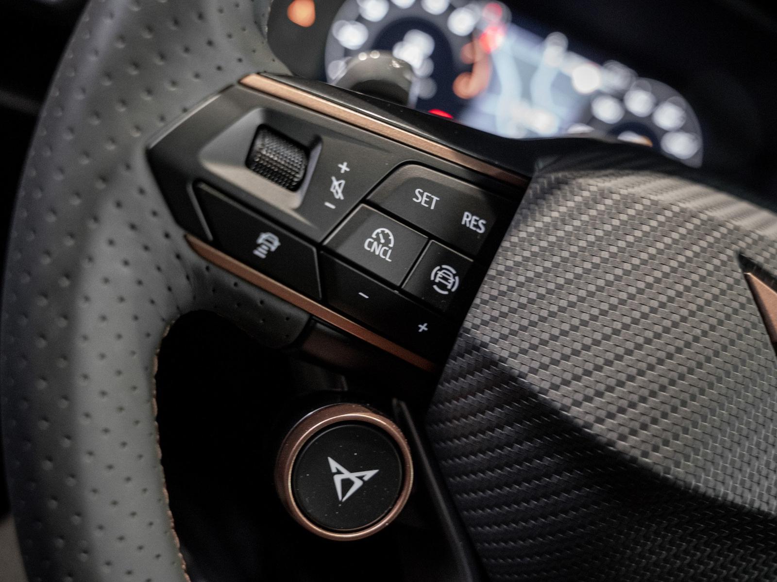 Cupra Formentor VZ 2.0 TSI 265 PS AHK, Kamera, SHZ, миниатюра 26