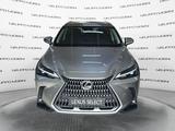 Lexus NX Hybrid Business 2WD - Lexus aus 2024: Nx