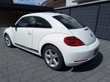 Volkswagen Beetle 2.0 TDI Sport Sport - VW Beetle Diesel von 2012