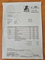 CFMOTO Cforce 520L ESP Spurverbreiterungen ABE Heizung - CFMOTO CFORCE 520 L