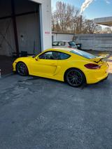 Porsche Cayman 981 GT4 - PPF / Schale / Ch... - Porsche Cayman in Berlin