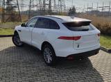 Jaguar F-Pace 25t AWD R-Sport Automatik - Jaguar F-Pace Benzin Gebrauchtwagen