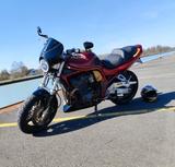 Suzuki Bandit 1200 kult - SUZUKI BANDIT 1200 KULT