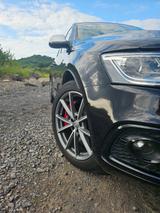 Audi SQ5 3.0 TDI competition tiptronic quattro - - Audi SQ5 aus 2017