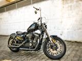 Harley-Davidson Roadster 1200CX - Offers