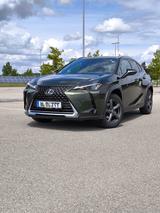 Lexus UX 250h - Lexus Gebrauchtwagen von 2022