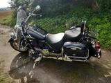 Suzuki Intruder VL  1500 - SUZUKI 2000 INTRUDER