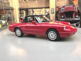 Alfa Romeo aus 1.Hand - professionell restauriert! - Alfa Romeo Spider in Berlin