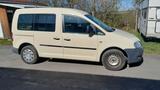 Volkswagen Caddy Life 1.6 BiFuel LPG - Klima Sitzheizung  - Volkswagen Caddy: Bifuel