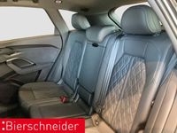 Audi SQ5 - Vorschau Bild 14