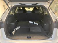 Skoda Kodiaq - Vorschau Bild 8