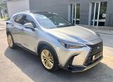 Lexus NX 450h+ E-FOUR Luxury Line - Lexus NX 450h mit Schiebedach