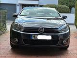 Volkswagen Golf 1.4 TSI Cup Cabrio TÜV/Service NEU - : Cabrio, Service