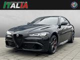 Alfa Romeo Giulia 2.9 V6 Bi-Turbo AT8 Quadrifoglio - graue Alfa Romeo Giulia