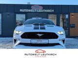Ford Mustang GT 5.0 Fastback 6-GANG COUPE Klima - Ford Mustang: Fastback