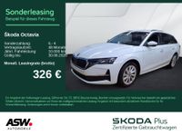 Skoda Octavia - Vorschau Bild 1