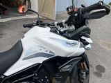 Triumph Tiger 900 GT Pro im Top Zustand - Angebote entsprechen deinen Suchkriterien