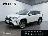 Toyota RAV 4 4x2 Hybrid Club *LED*Kamera*PDC v+h* - Toyota RAV 4 Gebrauchtwagen in Münster