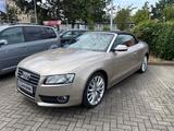 Audi A5 Cabrio 1.8 TFSI Automatik - : Beige, Cabrio