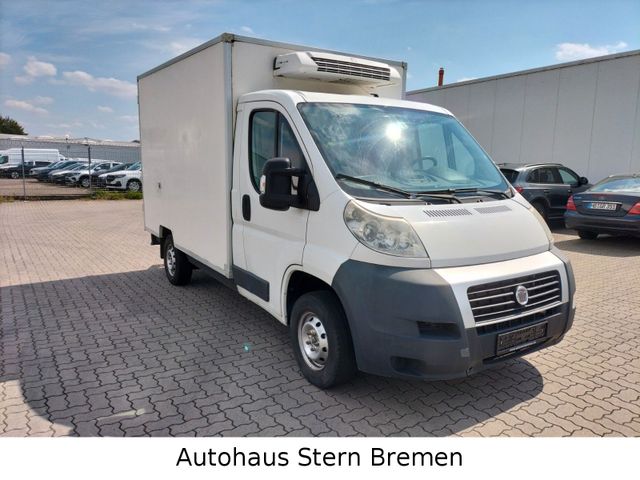 Fiat Ducato Kühlkastenwagen