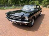 Ford Mustang 1964 1/2  Black plate - gebrauchte Ford Mustang aus dem Jahr 1964