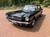 Ford Mustang 1964 1/2  Black plate - Ford Mustang aus 1964