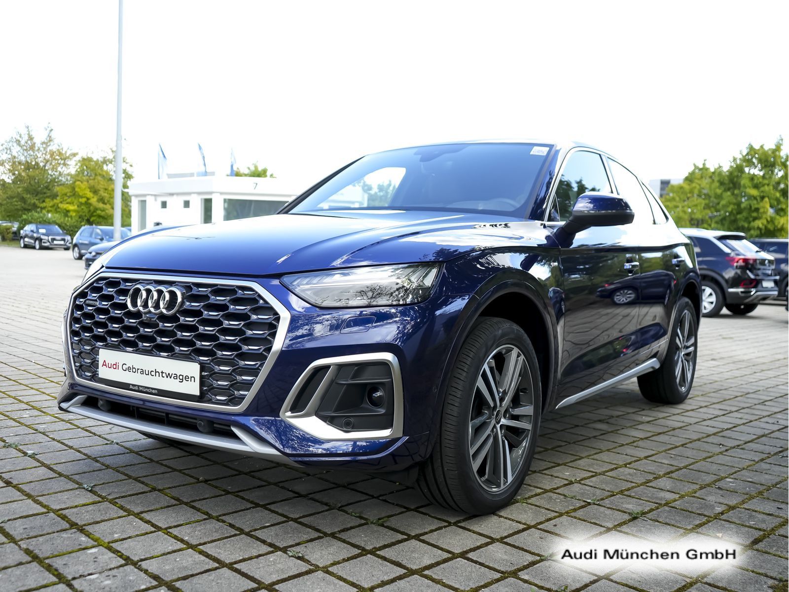 Audi Q5 Sportback 40 TFSI qu. S tronic 2x S line Matr foto 5