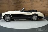 Austin Healey Cabrio - Austin Gebrauchtwagen