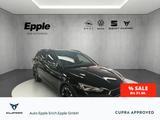Cupra Leon AHK schwenkbar Navi LHZ SHZ LED Kamera - Cupra Gebrauchtwagen von 2023