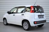 Fiat Panda Pop+Klima+1.Hand+5-Türer - Fiat Panda POP mit Benzin-Antrieb
