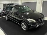 Mercedes-Benz ML 350 CDI BlueTec*TÜV NEU*SERVICE NEU*2.HAND* - Mercedes-Benz ML 350 in Essen
