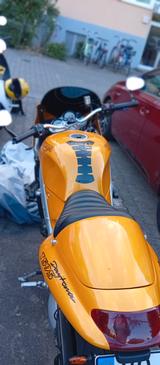 Triumph TÜV neu!!! Triumph Daytona 955i - TRIUMPH 955 DAYTONA