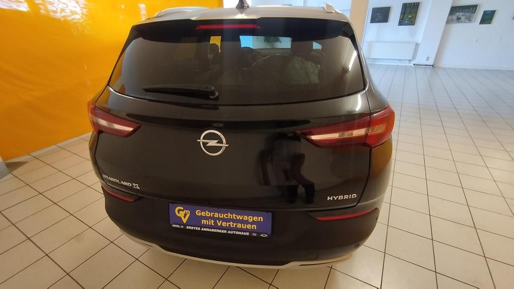 Erstes Annaberger Autohaus - Opel GRANDLAND X Elegance AT8, LED, ParkGo, Kamera - Bild 6 Erstes Annaberger Autohaus - Opel GRANDLAND X Elegance AT8, LED, ParkGo, Kamera - Bild 6
