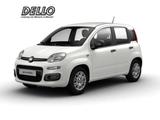 Fiat Panda Gewerbeleasing Klimaanlage Parkpilot ZV - Fiat Panda Neuwagen