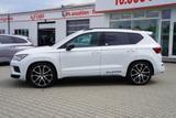 Cupra Ateca 2.0 TSI DSG 4Drive LED ACC Navi 360° Beats - Cupra Ateca Gebrauchtwagen