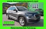 Skoda Kodiaq 2,0 TDI DSG 4x4 ACC LED AHV EXP:25.780.- - Skoda Kodiaq Kombi Gebrauchtwagen